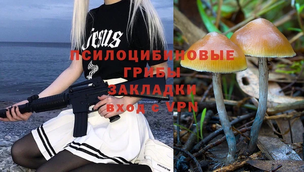 spice Абинск