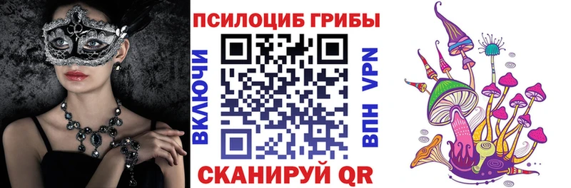 Псилоцибиновые грибы мицелий  где купить наркоту  omg ONION  Холм 